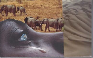 10403587_10205489045296957_2331650004990578531_n