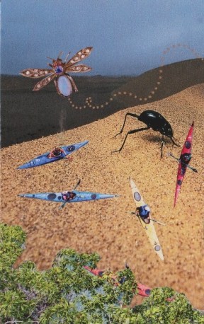 10955436_10206371650276132_904782177102310235_n