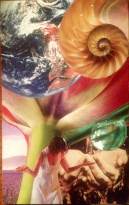 earth day card jodi gehr