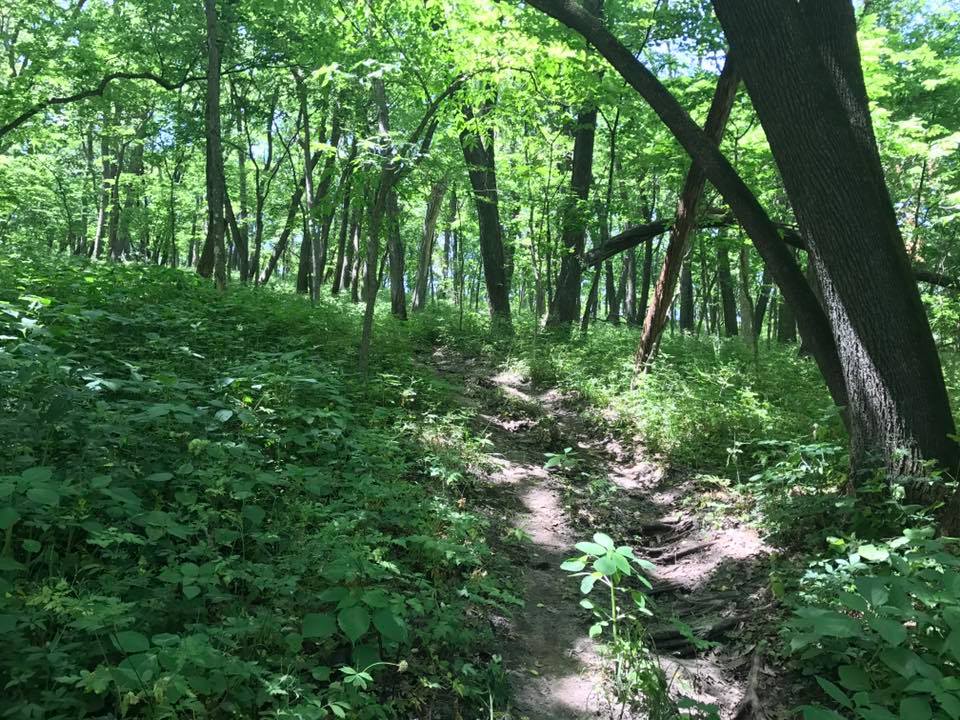 19149428_10212997687927260_6273485265180574605_n