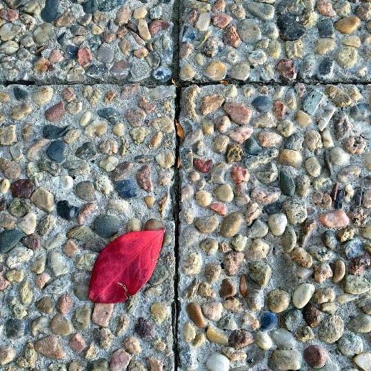 21616232_10214007330207686_1585915307798533116_n